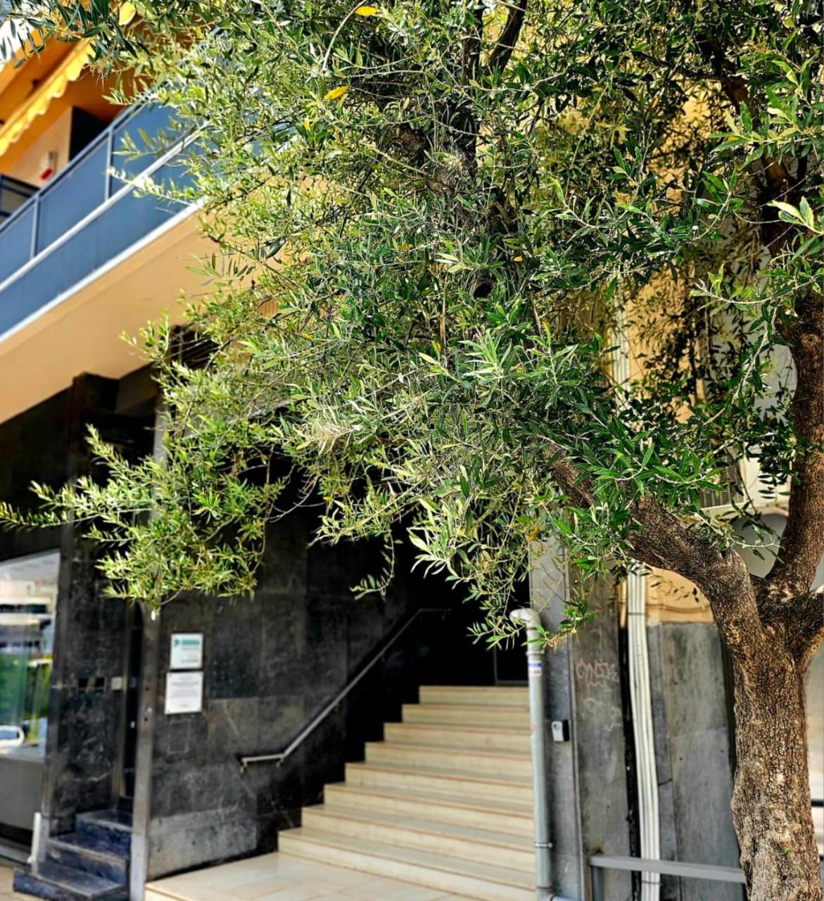 Diocharous Garden Apartment Athén Kültér fotó