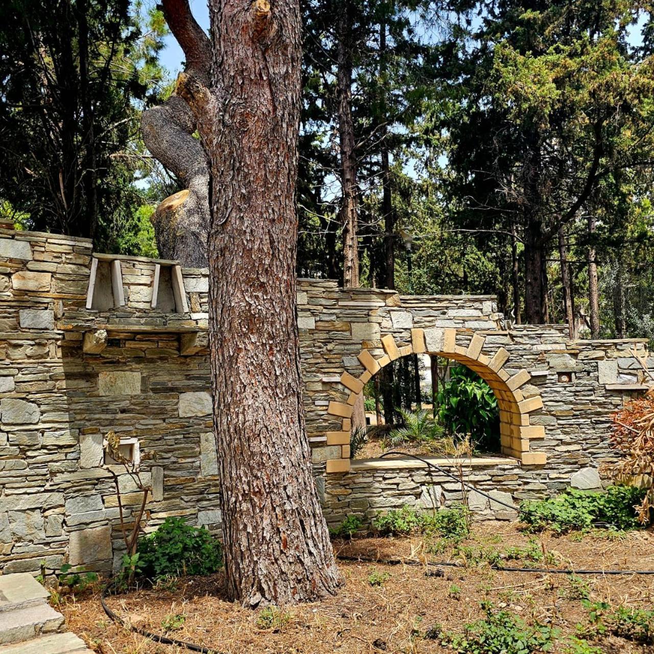 Diocharous Garden Apartment Athén Kültér fotó